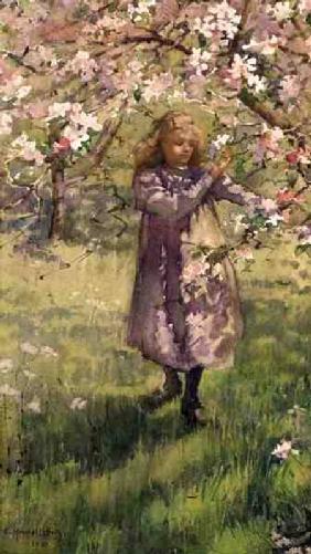 Picking Apple Blossom