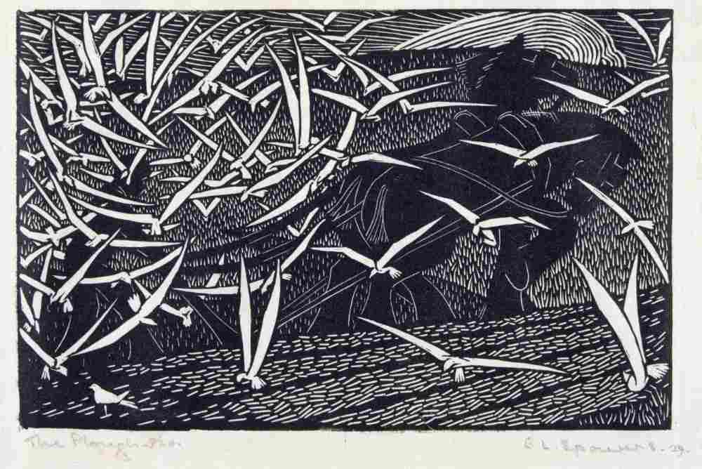 The Plough from Ethel Spowers