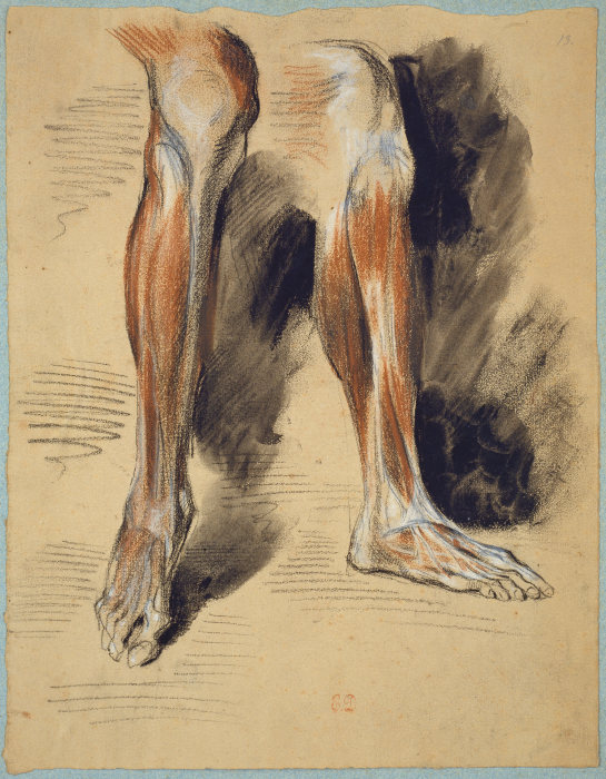 Studienblatt: Anatomie eines rechten Beines from Eugène Delacroix