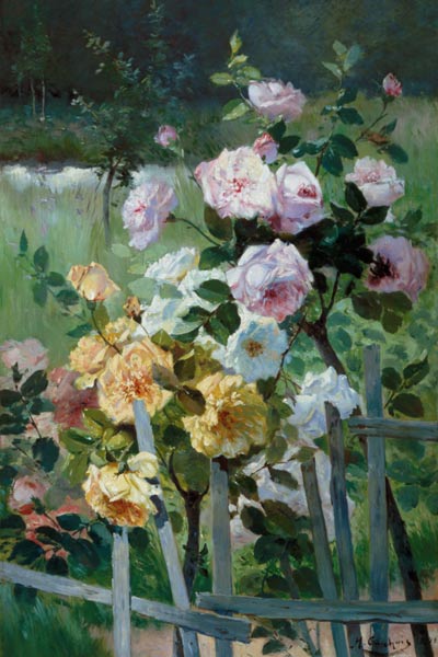 Rosen am Gartenzaun from Eugene Henri Cauchois