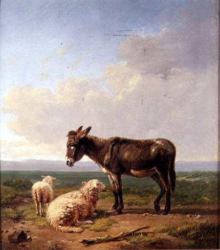 Ass and Sheep from Eugène Joseph Verboeckhoven