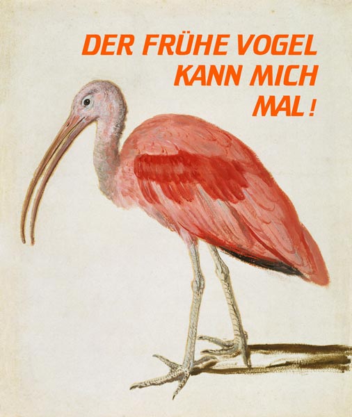 Portrait of a Scarlet Ibis Bird mit Worten from European School
