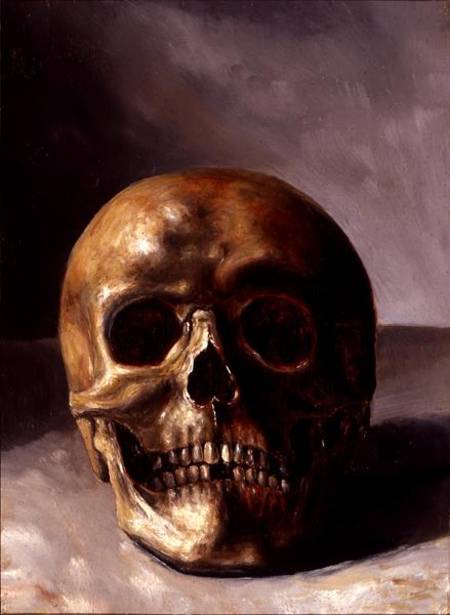 Skull from European School