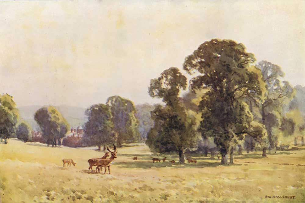 Cobham Park from E.W. Haslehust