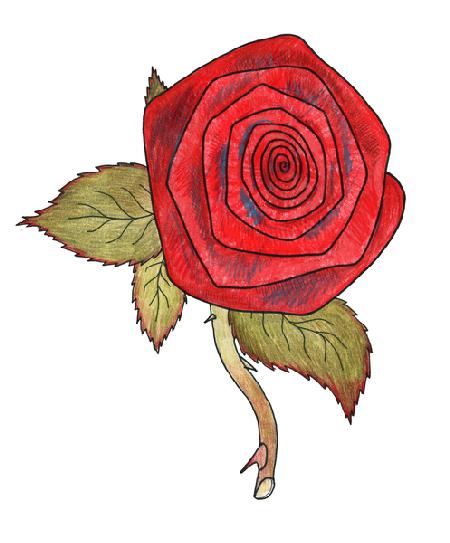 Rose 1