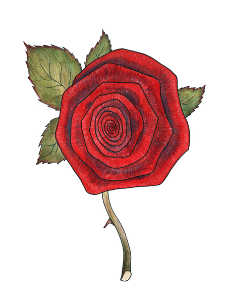 Rose 2 from Faisal Khouja