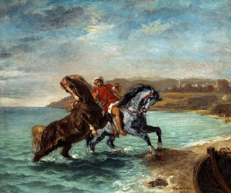 Zwei Pferde entsteigen dem Meer