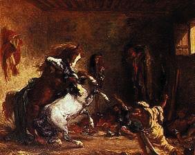 Kämpfende Araberpferde in einem Stall