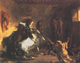 Kämpfende arabische Pferde in einem Stall