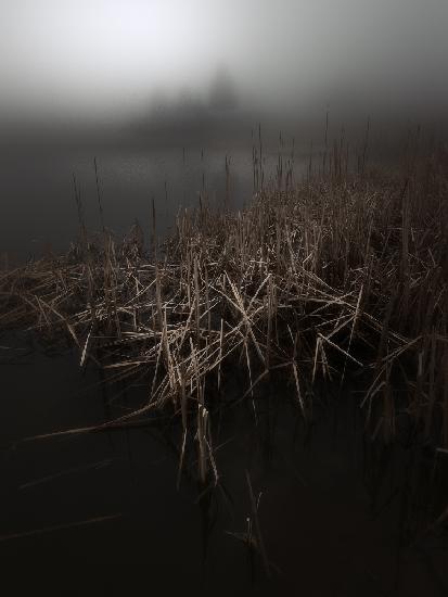Die Nebel des Pertüs-Sees