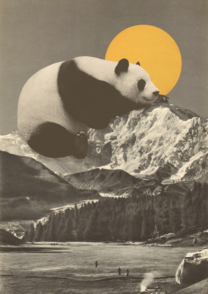 Pandas Nap into Mountains from Florent Bodart