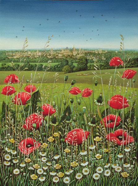 Oxford / Poppies from Frances Broomfield