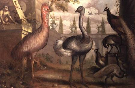 Collection of Birds from Francis Barlow
