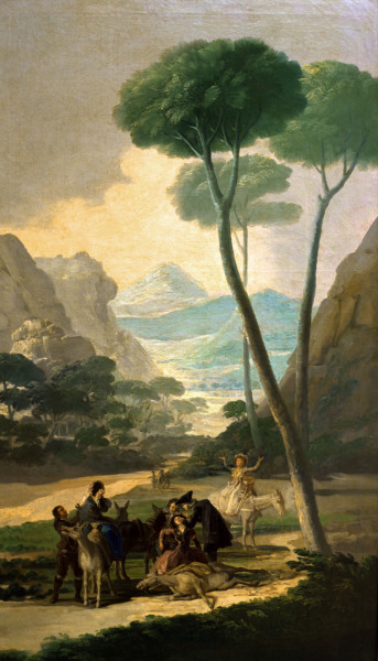 Der Sturz from Francisco José de Goya