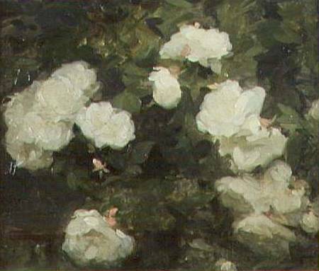White Roses from Frank Bramley