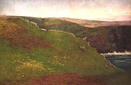 View on the Coast of Cornwall from Frank Goodwin