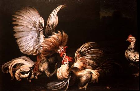Fighting Cocks from Frans Snyders