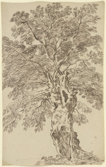 Alter Baum from Franz Innocenz Josef Kobell