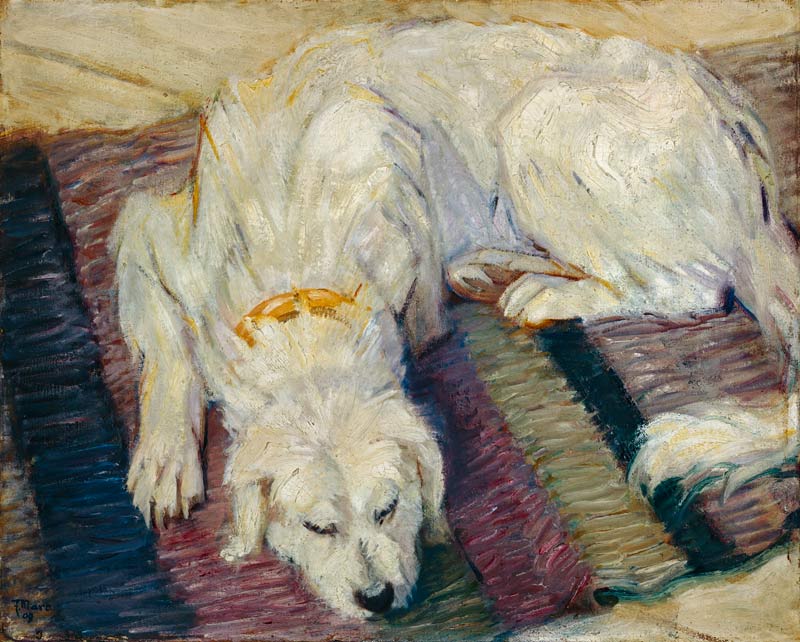Liegender Hund (Hundeportrait) from Franz Marc