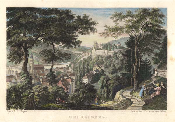 Heidelberg , View from the West from Franz Xaver Eisner