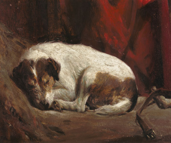 A Sleeping Fox Terrier, 1911 (board) from Fred Hall