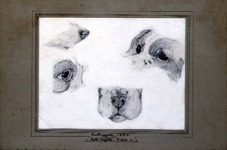 Studies of the Artist's Dog from Frederic Leighton