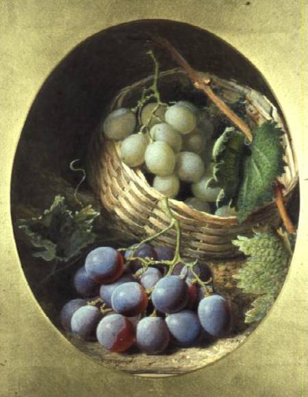 Red and White Grapes from Frederick T. Bayes