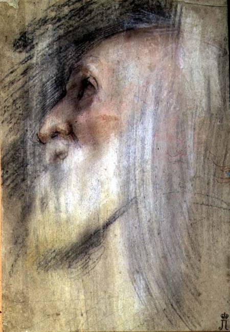 Head of an Old Man in Profile from Frederico Barocci