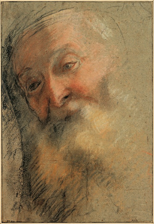 Head of an Old Bearded Man from Frederico Barocci