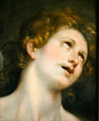 St. Sebastian (oil on paper on canvas) from Frederico Barocci