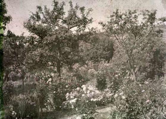View of Giverny, Monet's Garden, early 1920s (photo) from French Photographer, (20th century)