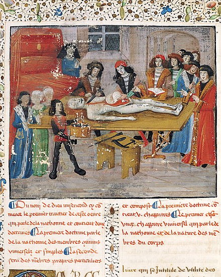Ms H 184 fol.14v Dissection lesson at the Faculty of Medicine in Montpellier, from ''La Grande Chiru from French School