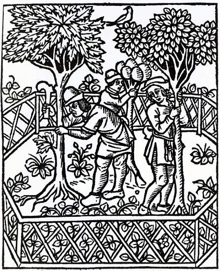 Tending Vines from ''Livre des prouffits champetres'' Petrus de Crescentiis, edition published in 15 from French School