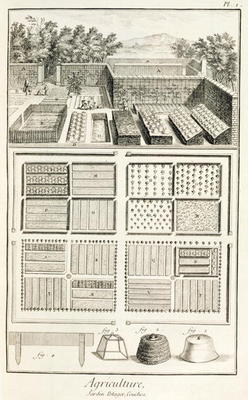 A vegetable garden, from 'The Encyclopedia of Science, Art and Engineering' by Denis Diderot (1713-8 from French School, (18th century)