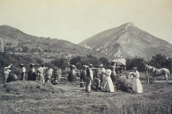 Distilling Lavender, from 'Industrie des Parfums a Grasse', c.1900 (photo) from French School, (20th century)