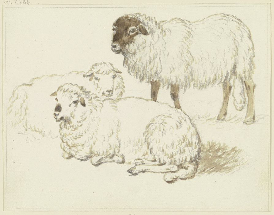 Drei Schafe from Friedrich Wilhelm Hirt