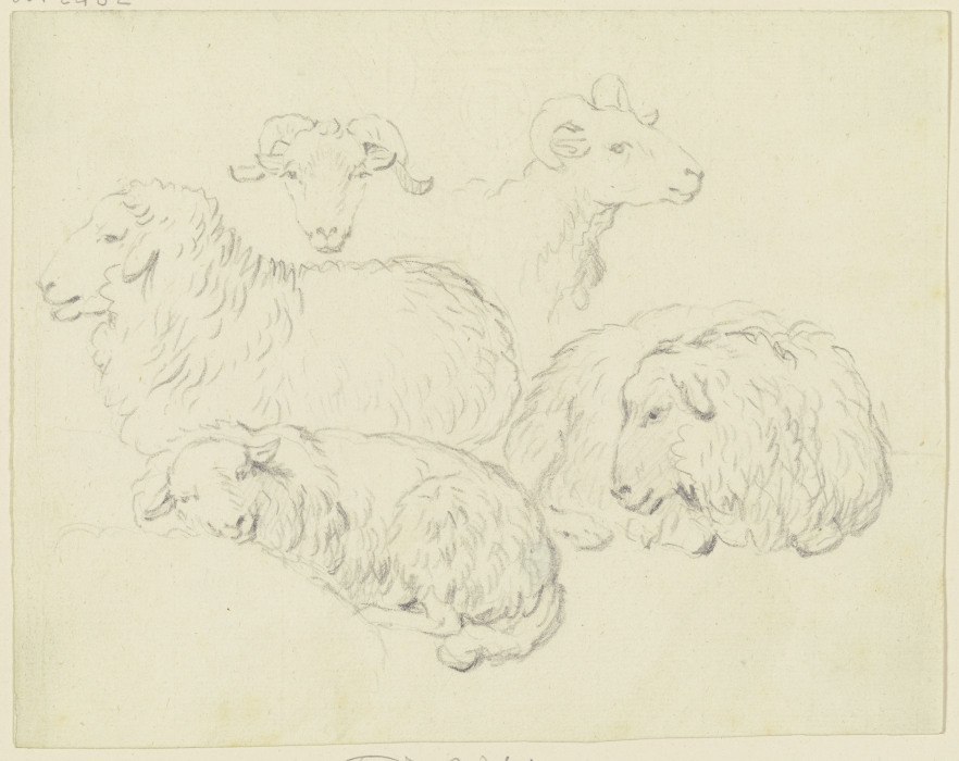 Eine Gruppe beieinander liegender Schafe from Friedrich Wilhelm Hirt