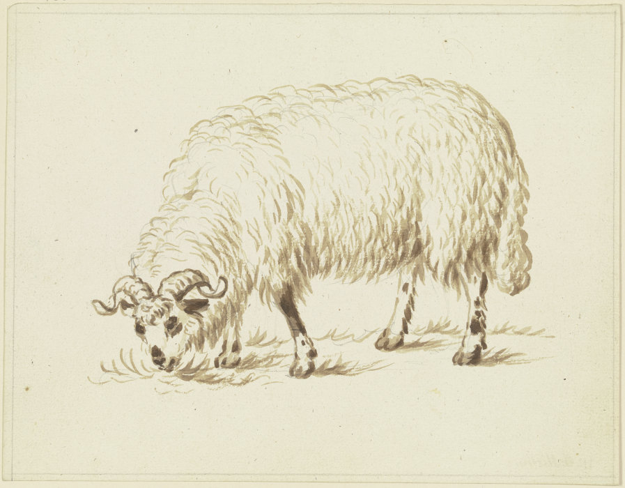 Grasendes Schaf from Friedrich Wilhelm Hirt