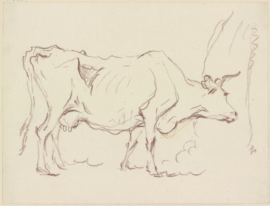 Magere stehende Kuh nach rechts, sich an einem Baumstamm schubbernd from Friedrich Wilhelm Hirt