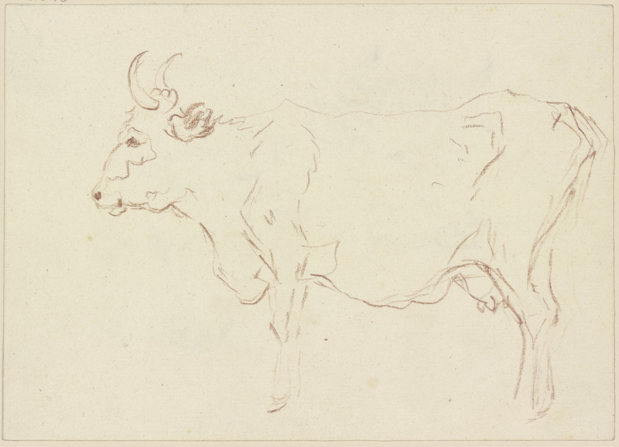 Stehende Kuh nach links from Friedrich Wilhelm Hirt