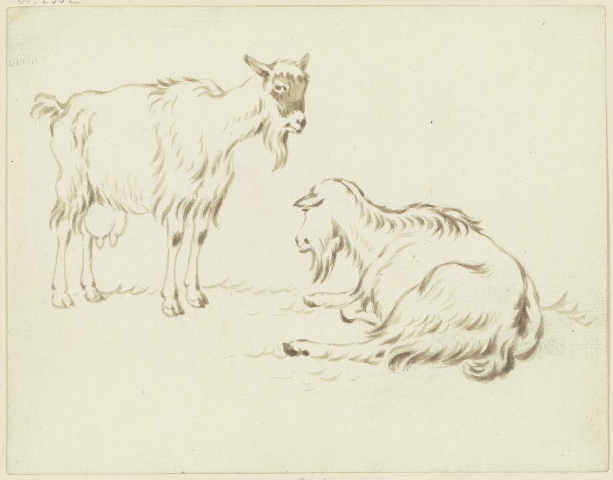Stehende und liegende Ziege from Friedrich Wilhelm Hirt
