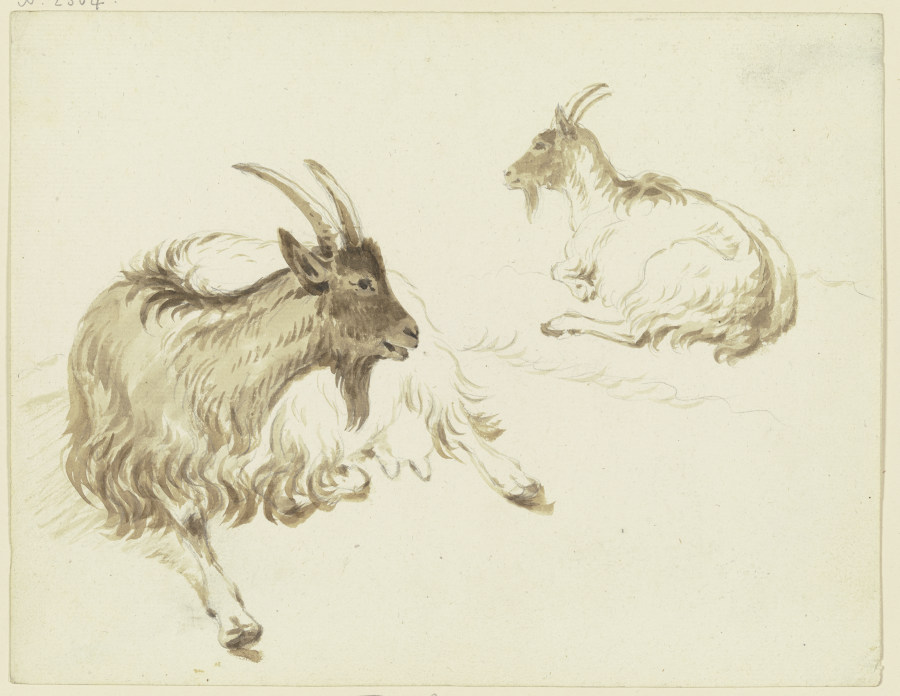 Zwei liegende Ziegen from Friedrich Wilhelm Hirt