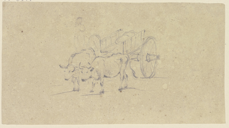 Zwei Ochsen ziehen einen Karren, von vorne gesehen from Friedrich Wilhelm Hirt