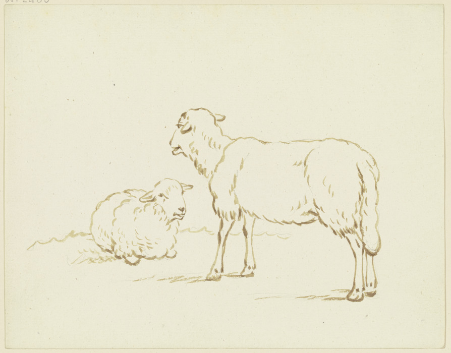 Zwei Schafe from Friedrich Wilhelm Hirt