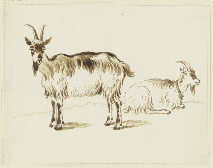 Zwei Ziegen, die stehende nach links, die liegende nach rechts from Friedrich Wilhelm Hirt