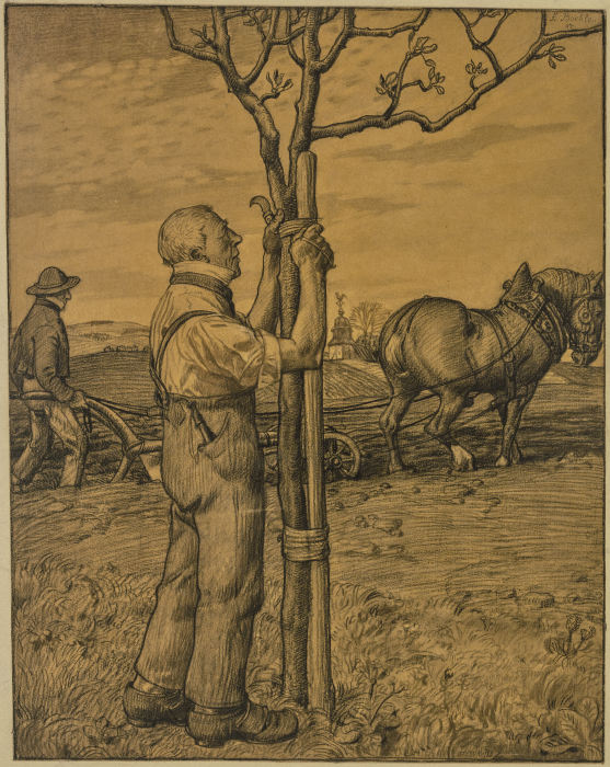 Gärtner, einen Baum anbindend from Fritz Boehle