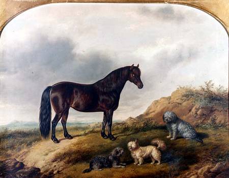A Pony and three Terriers in a landscape from G. Jackson
