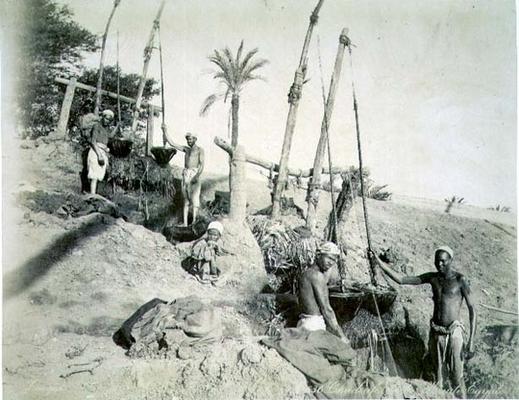 Shadufs in Upper Egypt (sepia photo) from G. Lekegian