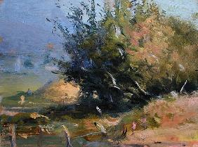 Apple Bush with Fence (oil on canvas) 