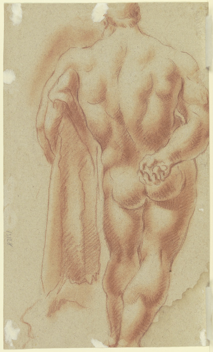 Herkules Farnese from Gaspare Diziani